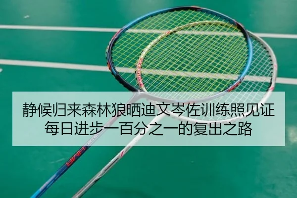 静候归来森林狼晒迪文岑佐训练照见证每日进步一百分之一的复出之路